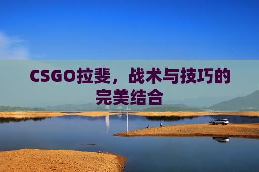 CSGO拉斐,战术与技巧的完美结合 CSGO拉斐,战术与技巧的完美结合