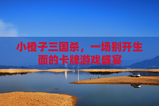 小橙子三国杀，一场别开生面的卡牌游戏盛宴