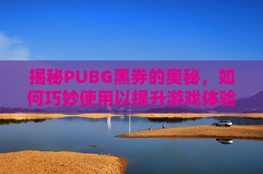 揭秘PUBG黑券的奥秘，如何巧妙使用以提升游戏体验