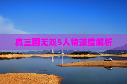 真三国无双5人物深度解析