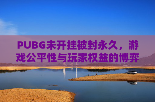 PUBG未开挂被封永久，游戏公平性与玩家权益的博弈