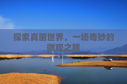 探索真菌世界,一场奇妙的微观之旅 探索真菌世界,一场奇妙的微观之旅