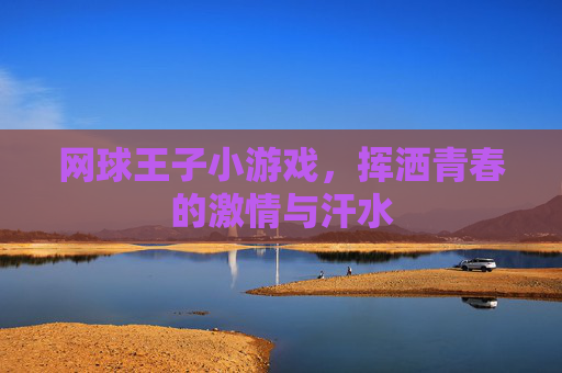 网球王子小游戏，挥洒青春的激情与汗水