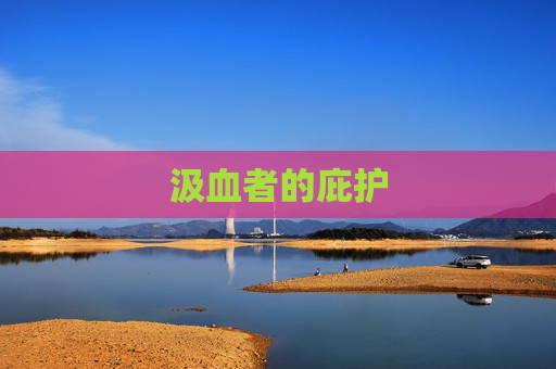 汲血者的庇护