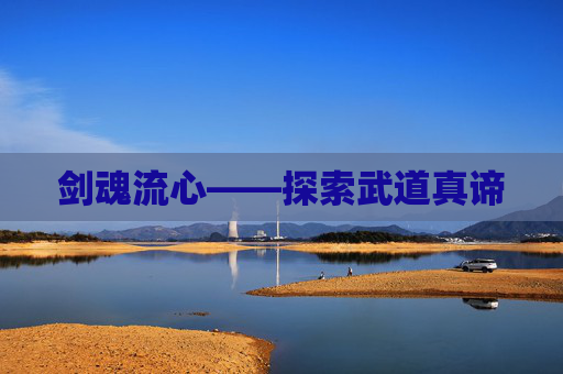 剑魂流心——探索武道真谛