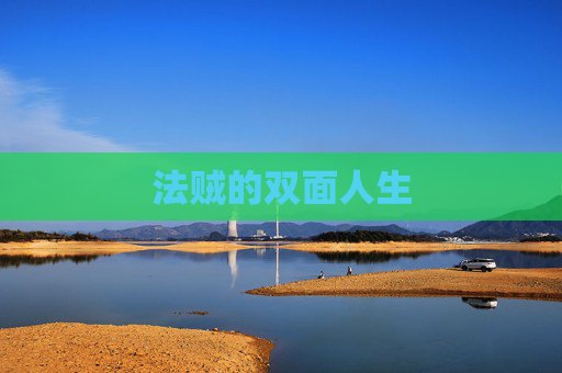 法贼的双面人生 法贼的双面人生