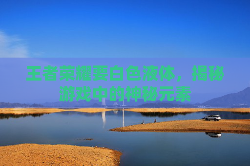 王者荣耀要白色液体,揭秘游戏中的神秘元素 王者荣耀要白色液体,揭秘游戏中的神秘元素