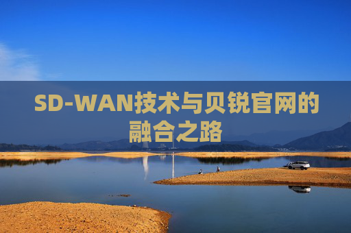 SD-WAN技术与贝锐官网的融合之路