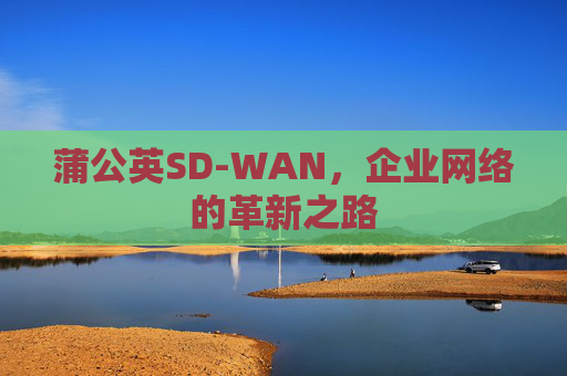 蒲公英SD-WAN，企业网络的革新之路
