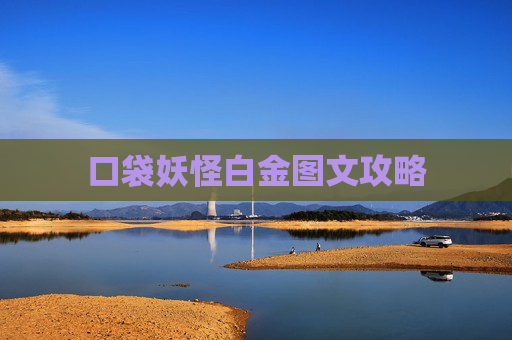 口袋妖怪白金图文攻略