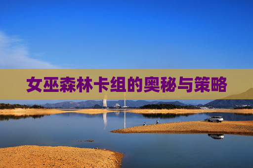 女巫森林卡组的奥秘与策略 女巫森林卡组的奥秘与策略
