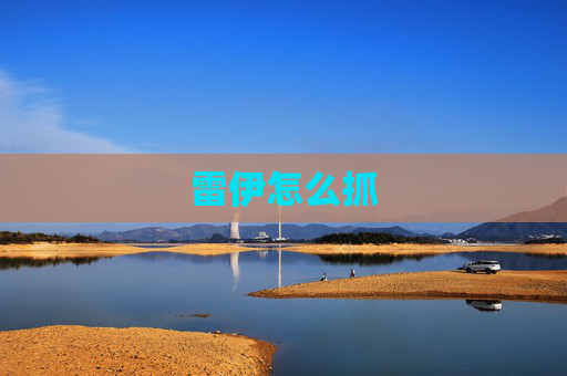 雷伊怎么抓