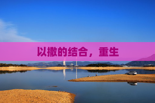 以撒的结合,重生 以撒的结合,重生