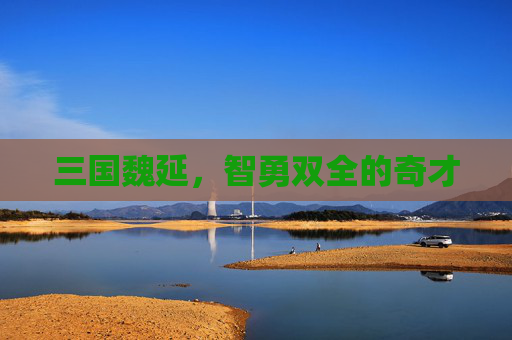 三国魏延，智勇双全的奇才