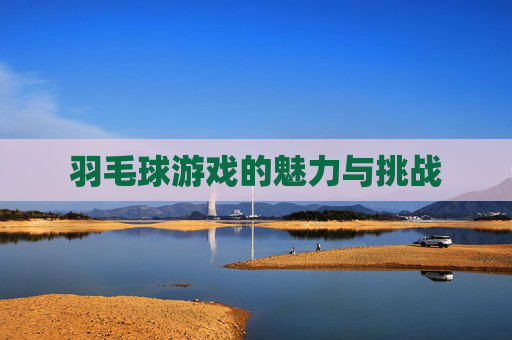 羽毛球游戏的魅力与挑战 羽毛球游戏的魅力与挑战
