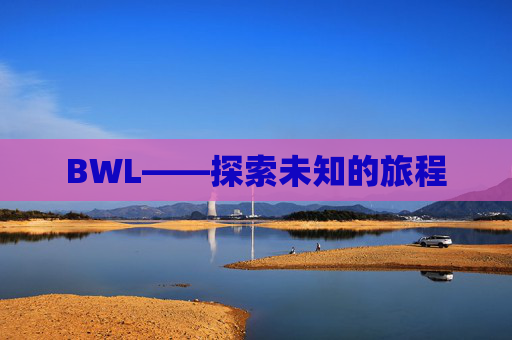 BWL——探索未知的旅程