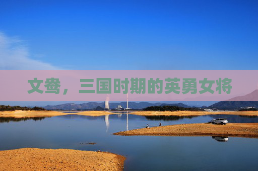 文鸯，三国时期的英勇女将