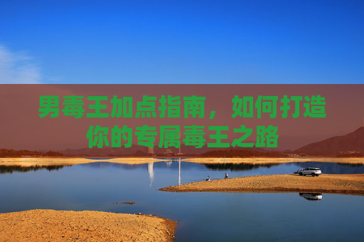 男毒王加点指南，如何打造你的专属毒王之路