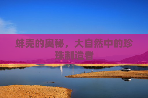 蚌壳的奥秘,大自然中的珍珠制造者 蚌壳的奥秘,大自然中的珍珠制造者