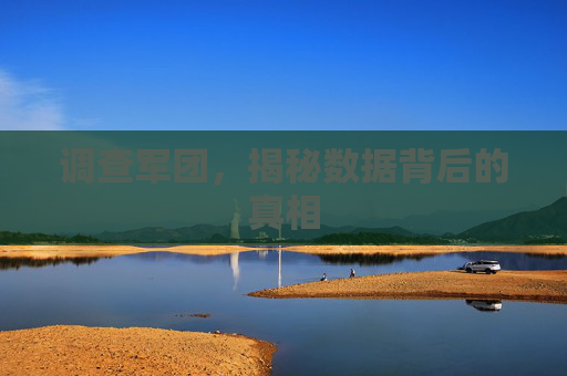 调查军团，揭秘数据背后的真相