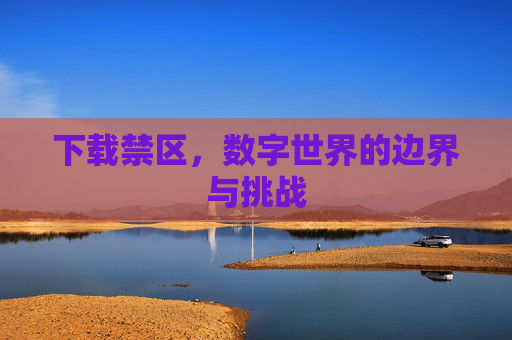 下载禁区，数字世界的边界与挑战