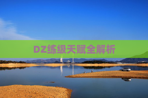 DZ练级天赋全解析