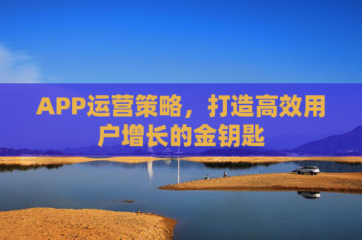 APP运营策略，打造高效用户增长的金钥匙