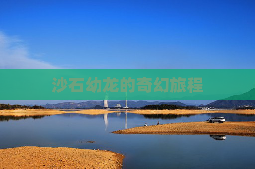 沙石幼龙的奇幻旅程