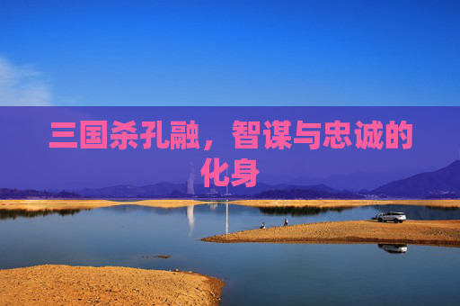 三国杀孔融，智谋与忠诚的化身