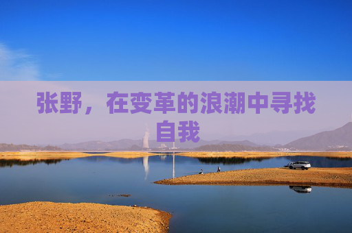 张野，在变革的浪潮中寻找自我