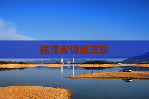 枯法者训练攻略