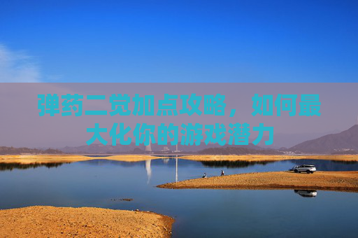 弹药二觉加点攻略，如何最大化你的游戏潜力
