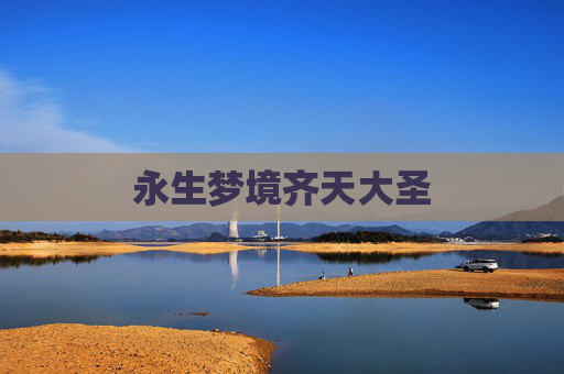 永生梦境齐天大圣
