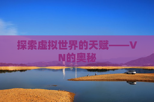 探索虚拟世界的天赋——VN的奥秘