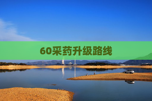 60采药升级路线