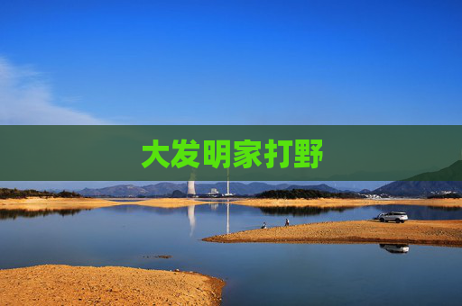 大发明家打野