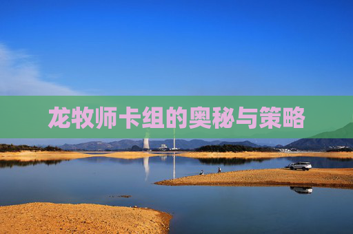 龙牧师卡组的奥秘与策略 龙牧师卡组的奥秘与策略