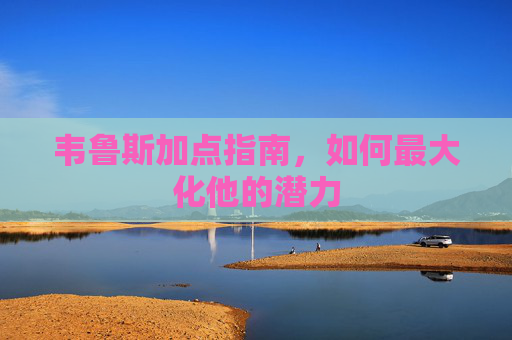 韦鲁斯加点指南，如何最大化他的潜力