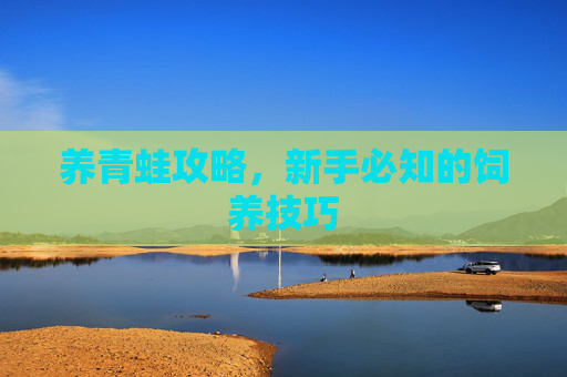 养青蛙攻略,新手必知的饲养技巧 养青蛙攻略,新手必知的饲养技巧