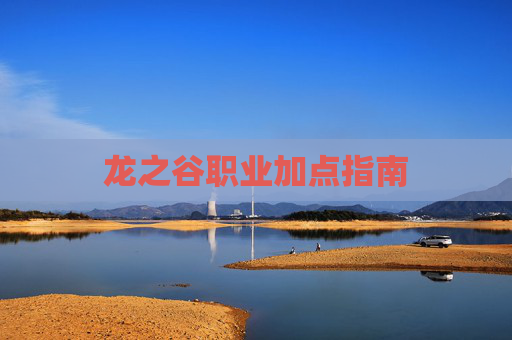龙之谷职业加点指南