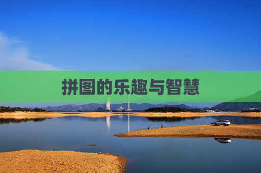 拼图的乐趣与智慧 拼图的乐趣与智慧