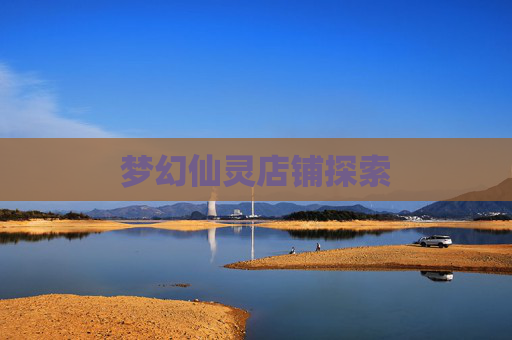 梦幻仙灵店铺探索
