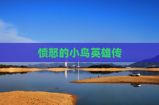 愤怒的小鸟英雄传 愤怒的小鸟英雄传