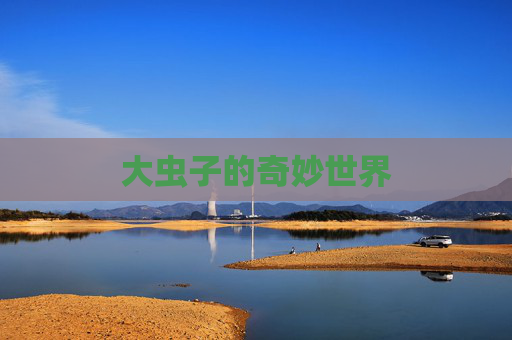 大虫子的奇妙世界