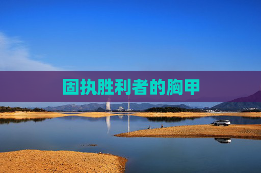 固执胜利者的胸甲 固执胜利者的胸甲