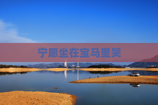 宁愿坐在宝马里哭 宁愿坐在宝马里哭