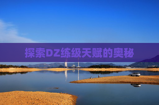 探索DZ练级天赋的奥秘 探索DZ练级天赋的奥秘