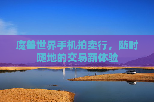 魔兽世界手机拍卖行,随时随地的交易新体验 魔兽世界手机拍卖行,随时随地的交易新体验