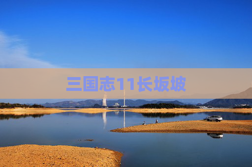 三国志11长坂坡