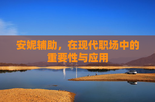 安妮辅助,在现代职场中的重要性与应用 安妮辅助,在现代职场中的重要性与应用
